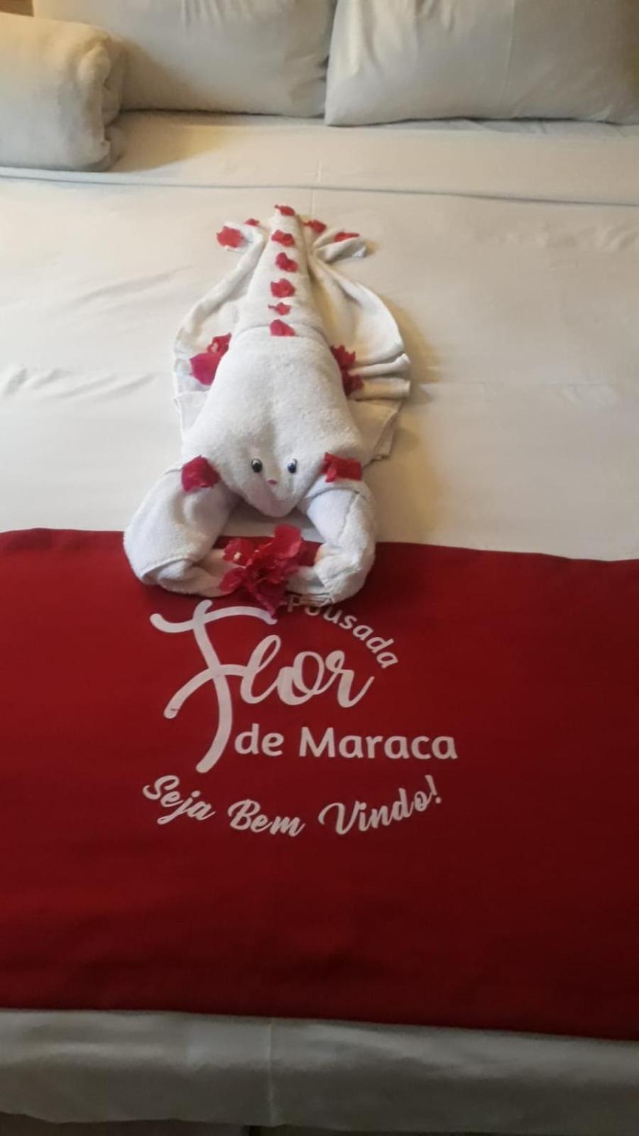 Pousada Flor De Maraca Porto de Galinhas Bagian luar foto