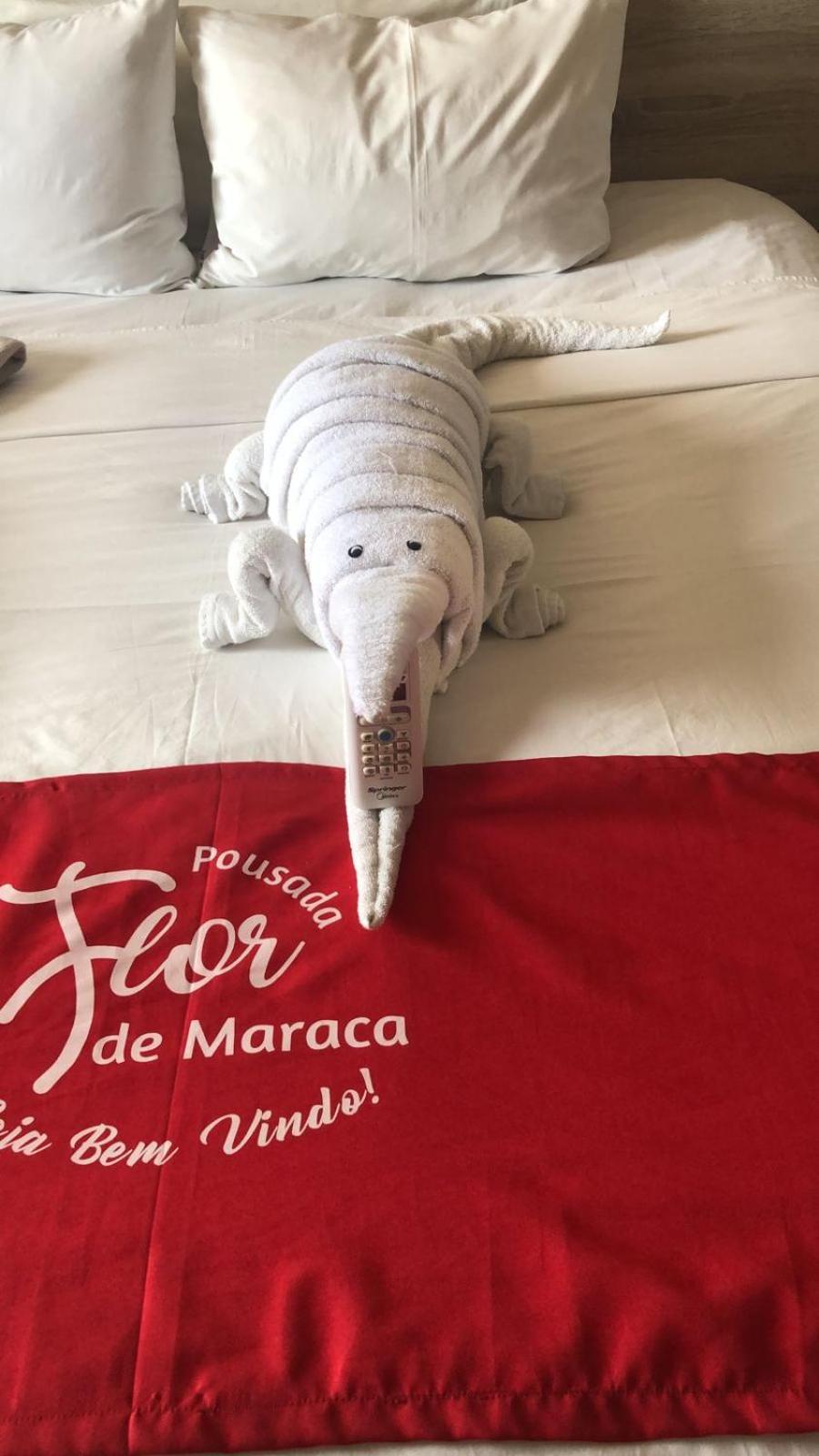 Pousada Flor De Maraca Porto de Galinhas Bagian luar foto